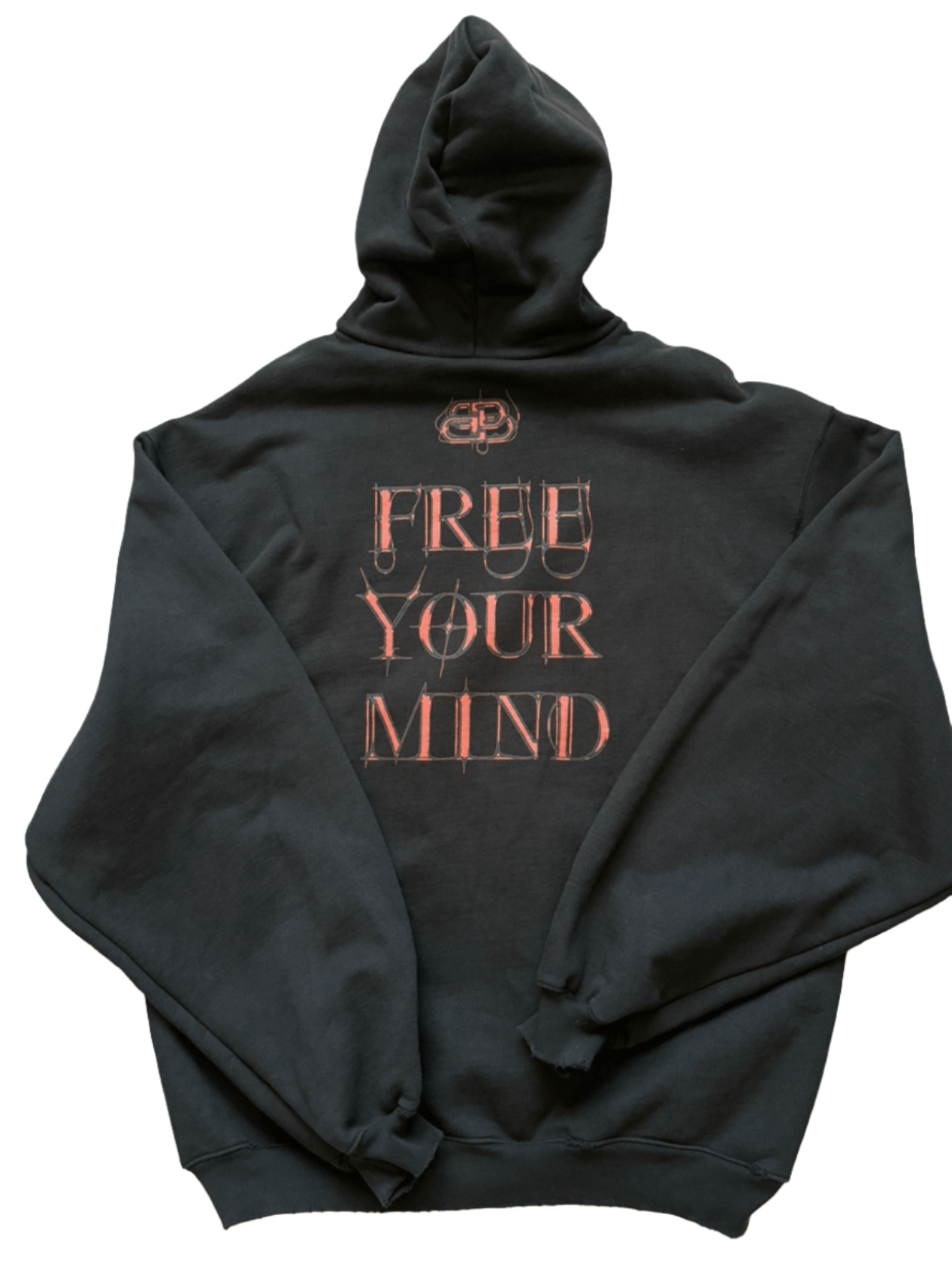 Balenciaga Free Your Mind Secret Society Distressed Hoodie (PREOWNED)