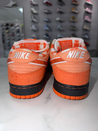 Nike SB Dunk Low Concepts Orange Lobster